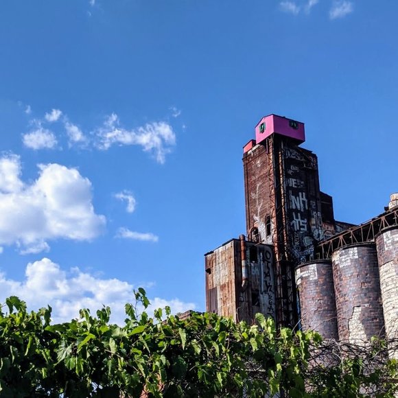 Meet your Posher, Maude - Picture 1 of 1